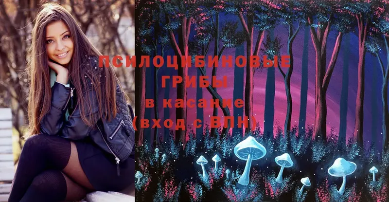 Галлюциногенные грибы Magic Shrooms  Всеволожск 